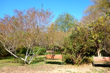 Humboldt Botanical Garden - Eureka, California - DSC02578