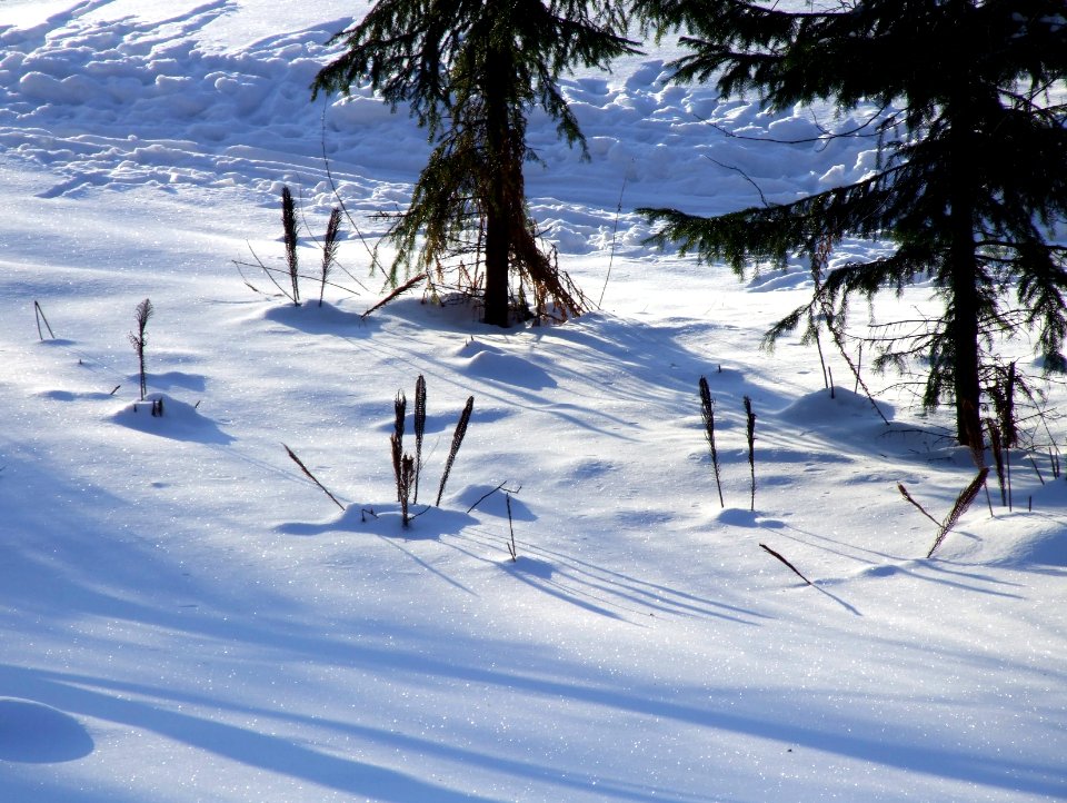 Hupisaaret Islands Oulu 20090222