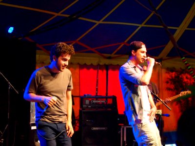 Hurrykayne Tollwood 2014 (09)