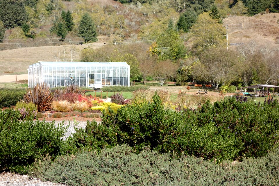 Humboldt Botanical Garden - Eureka, California - DSC02525