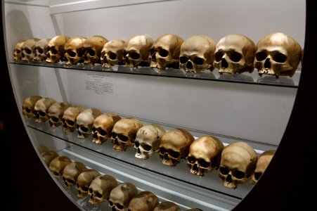 Human skulls on display photo