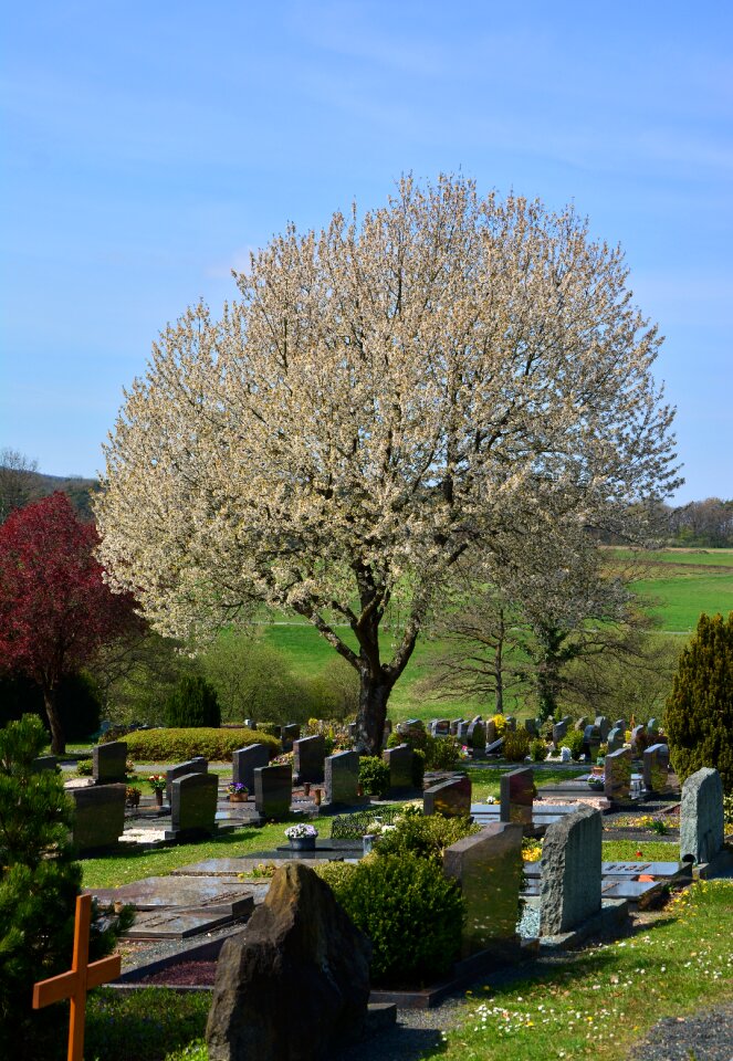 Grave care tombstone rest