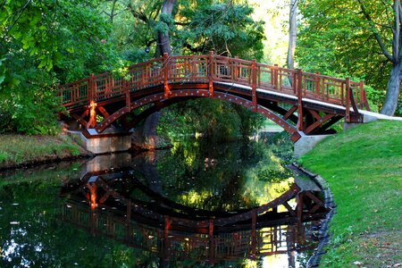 Nature wooden bridge river photo
