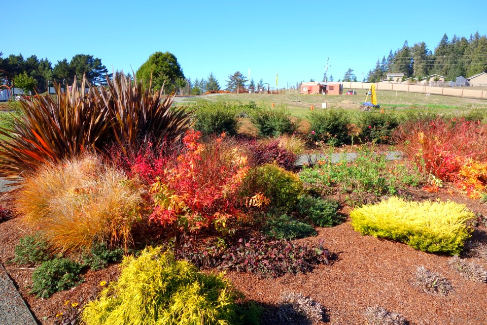 Humboldt Botanical Garden - Eureka, California - DSC02549