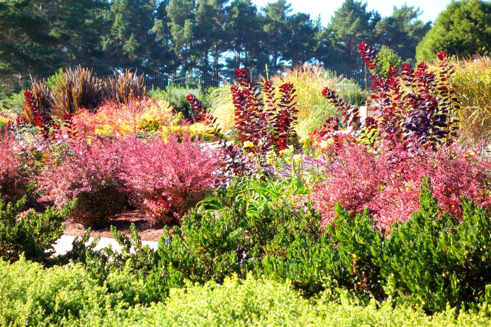 Humboldt Botanical Garden - Eureka, California - DSC02543