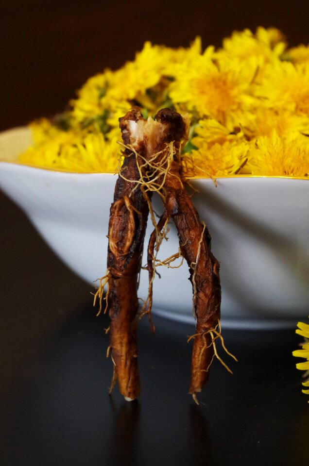 Flowers recipe the root of the