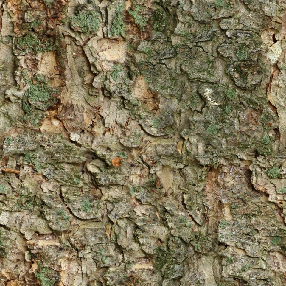Bark fur wood