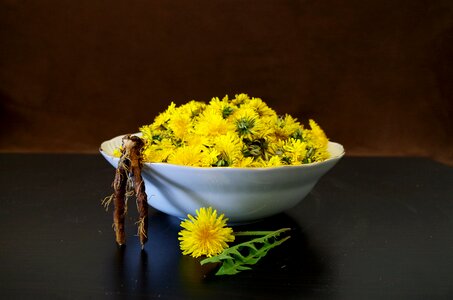 Flowers recipe the root of the