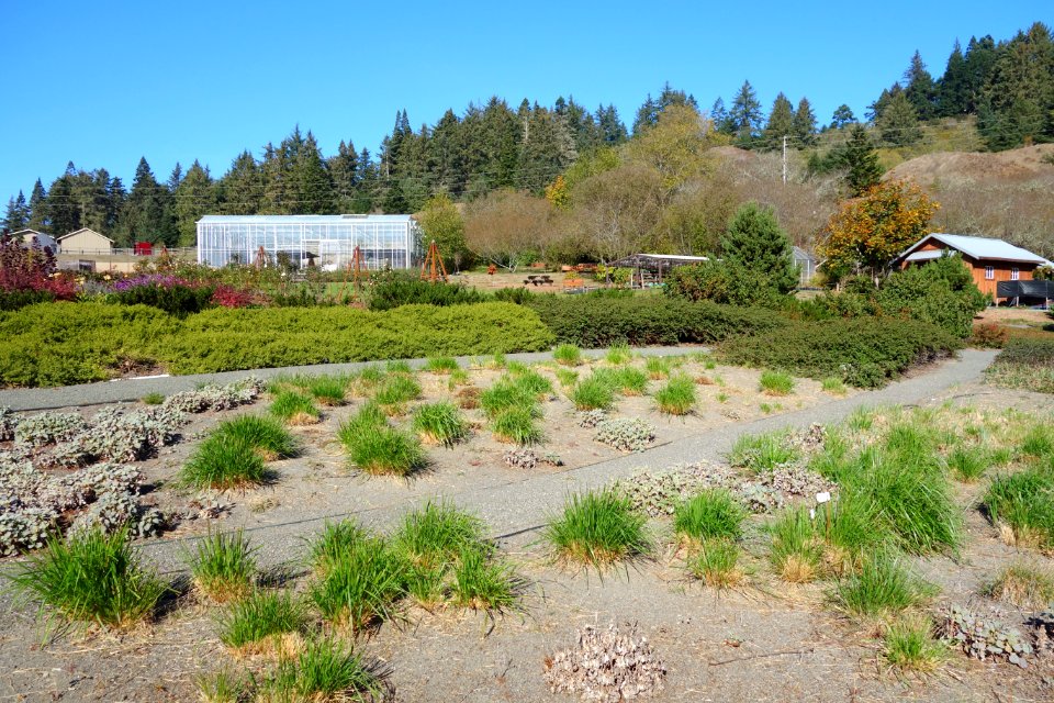Humboldt Botanical Garden - Eureka, California - DSC02540