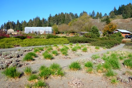 Humboldt Botanical Garden - Eureka, California - DSC02540