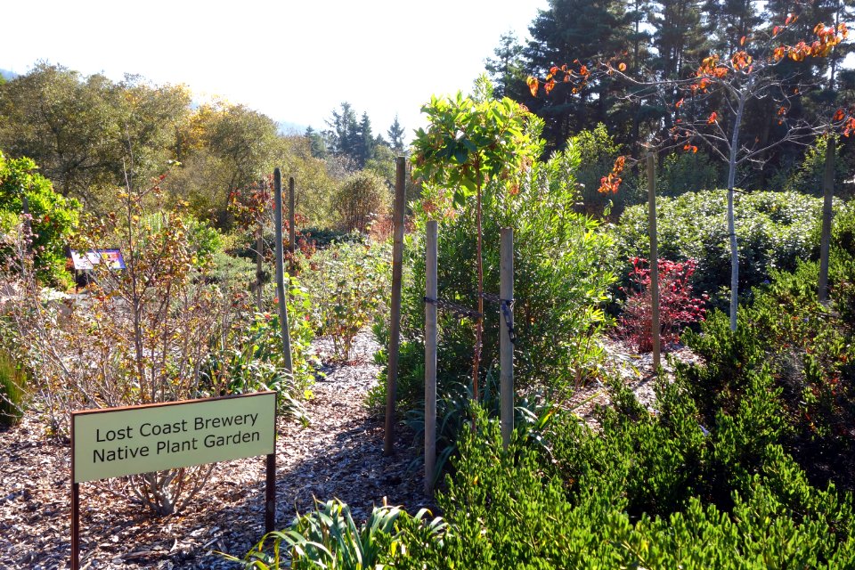 Humboldt Botanical Garden - Eureka, California - DSC02545