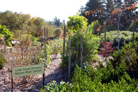 Humboldt Botanical Garden - Eureka, California - DSC02545