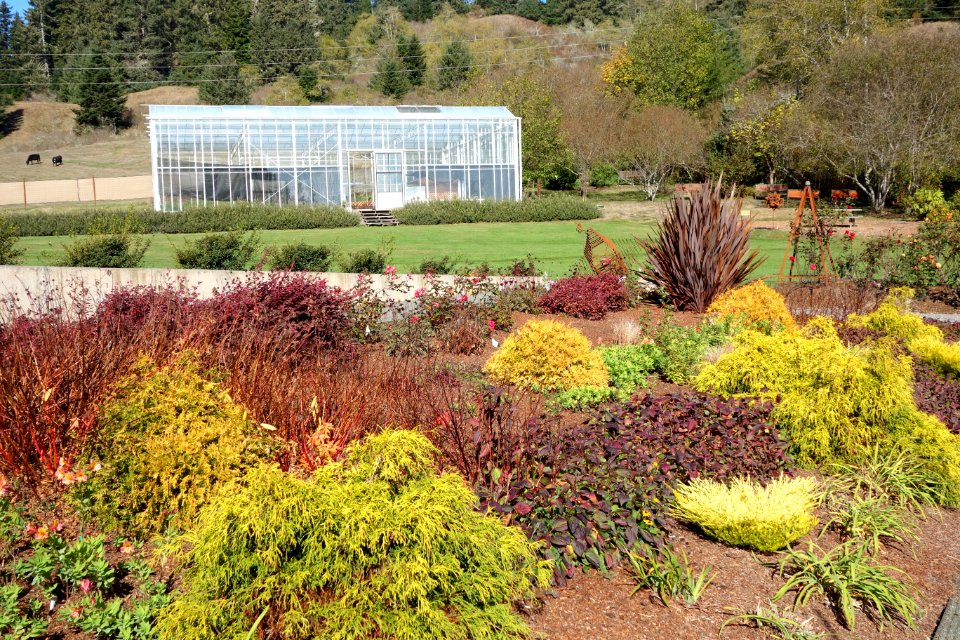 Humboldt Botanical Garden - Eureka, California - DSC02552