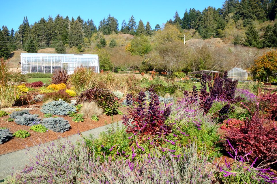 Humboldt Botanical Garden - Eureka, California - DSC02547