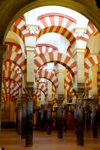Hypostyle hall of the Mosque-Cathedral of Córdoba, Spain - DSC07226