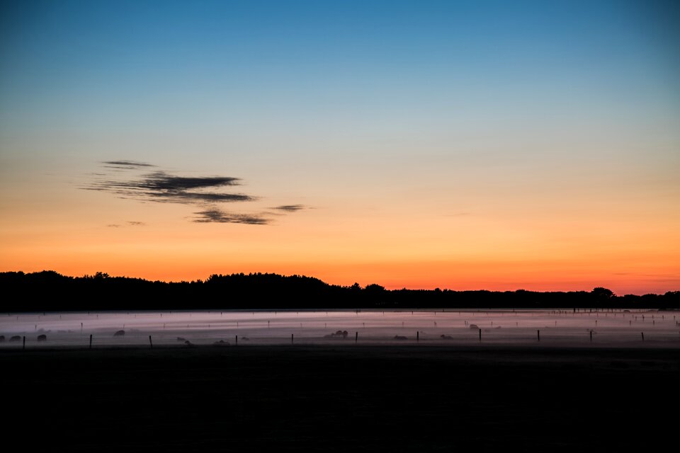 Sheep landscape romantic
