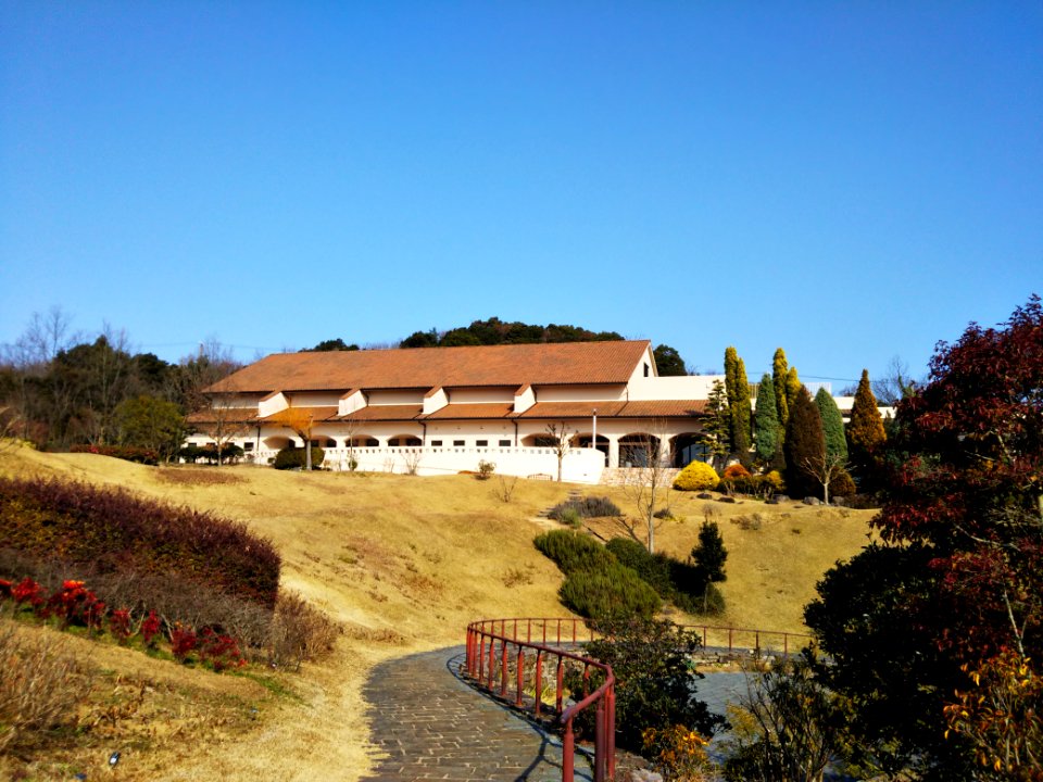 Hyogo-Pref-ALPHA-2020010303