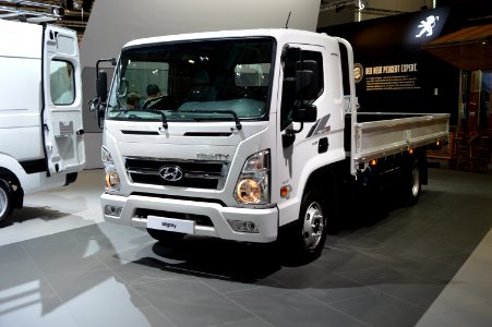 Hyundai 4x2 Mighty Cargo