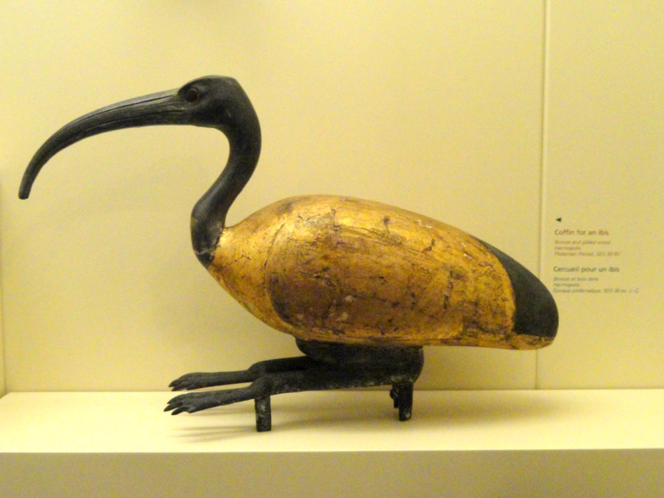 Ibis coffin, Egypt, Ptolemaic Period, 320-30 BC - Royal Ontario Museum - DSC09745