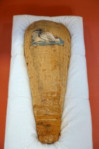 Ibis mummy, Egypt, Ptolemaic period, 330-30 BC - Redpath Museum - McGill University - Montreal, Canada - DSC08138