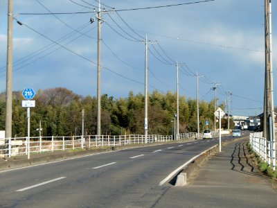 Ibaraki pref road 215