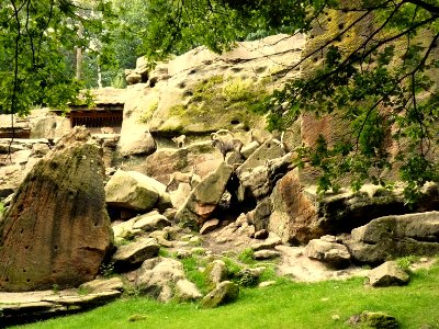 Ibex rock Nürnberg Tiergarten