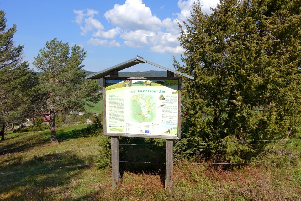 Ibach (Schwarzwald) Infotafel am Panoramaweg