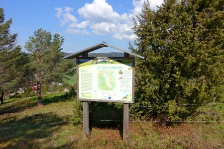 Ibach (Schwarzwald) Infotafel am Panoramaweg