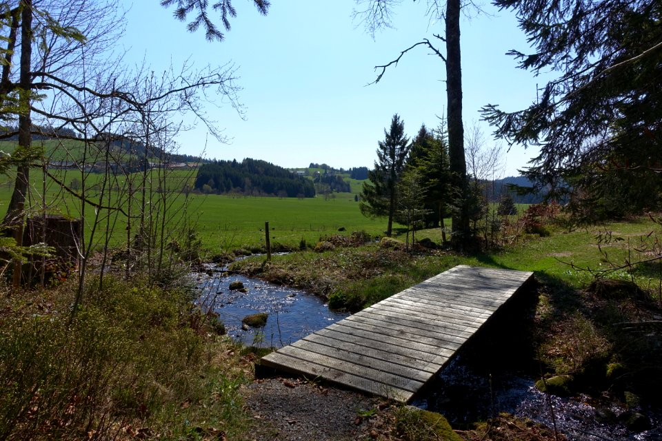 Ibach (Schwarzwald) Bücke Winkelbach