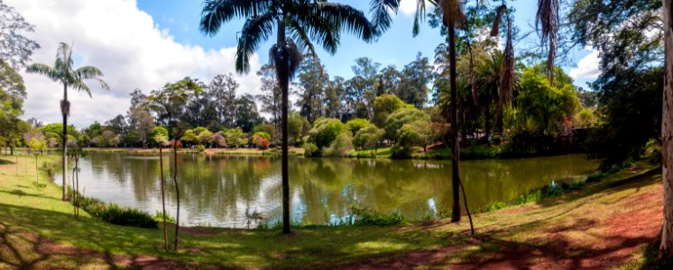 Ibirapuera Park in São Paulo city 2