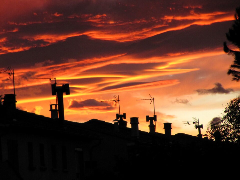 Colors nature magical night