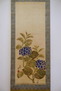 Hydrangea by Nakamura Hochu, late 1700s to early 1800s AD, ink and watercolor on paper - Dallas Museum of Art - DSC05092