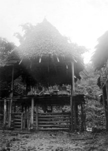 Hydda. Chocó. Colombia - SMVK - 004189