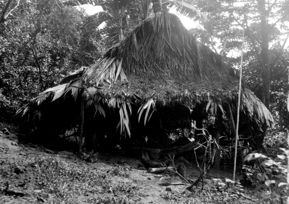 Hydda. Veraguas. Panama - SMVK - 004249