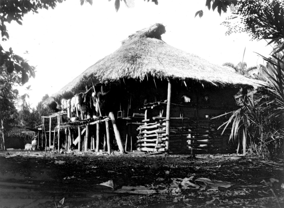 Hydda. Sambú River, Darién. Panama - SMVK - 004186
