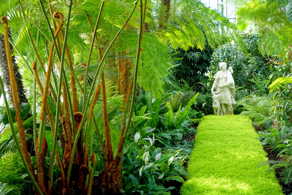 Huntress - Laeken Royal Greenhouses - Royal Castle of Laeken - Brussels, Belgium - DSC07330