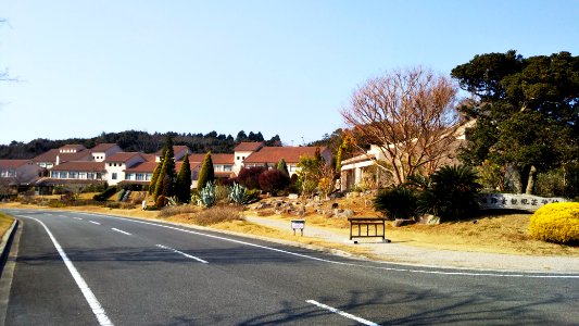 Hyogo-Pref-ALPHA-2020010301