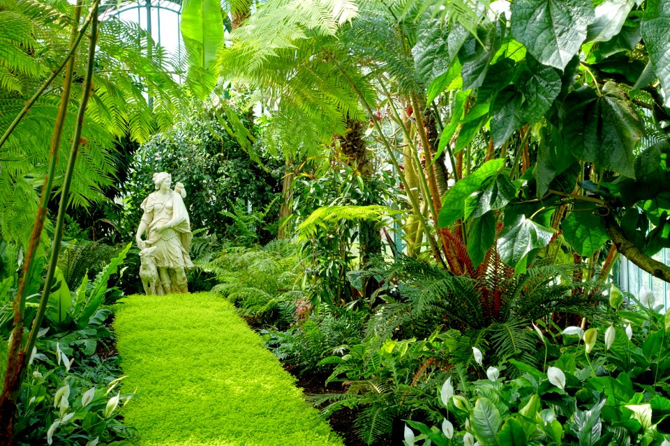 Huntress - Laeken Royal Greenhouses - Royal Castle of Laeken - Brussels, Belgium - DSC07332