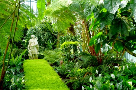 Huntress - Laeken Royal Greenhouses - Royal Castle of Laeken - Brussels, Belgium - DSC07332