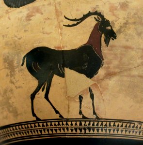 Hydrie Athènes Attr Psiax Bouc Petit Palais 13012018 2