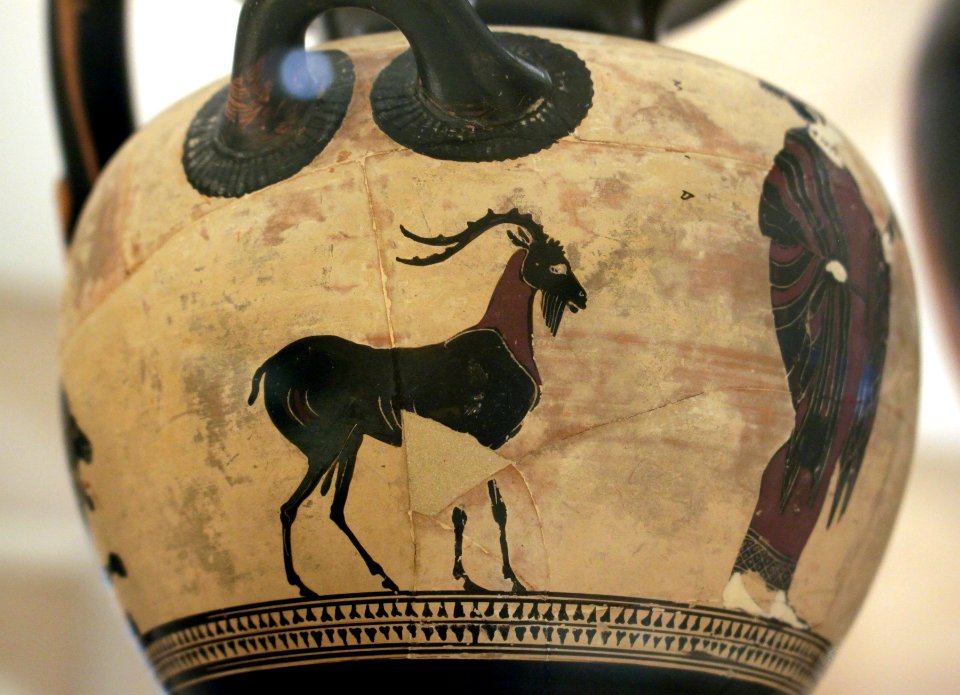 Hydrie Athènes Attr Psiax Bouc Petit Palais 13012018 1