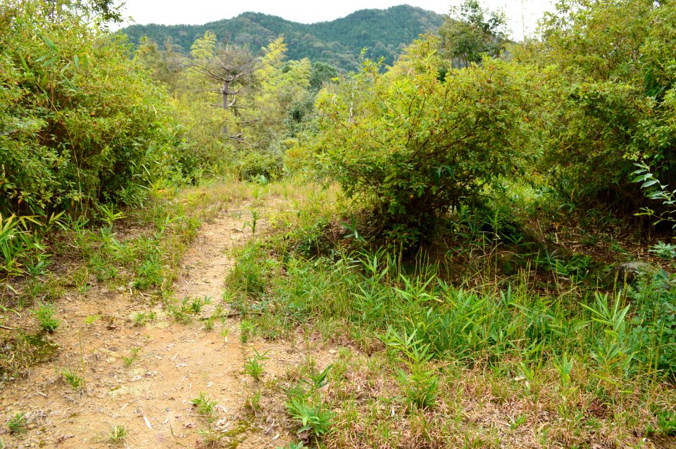 Hyotanyama-kofun (Azuchi) kouenbu funcho