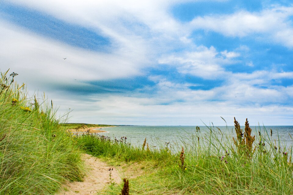 Seaside sea sky