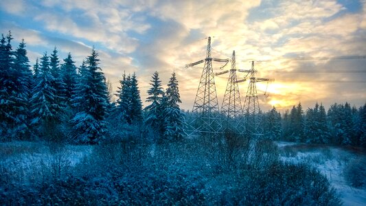 Frost wire trees