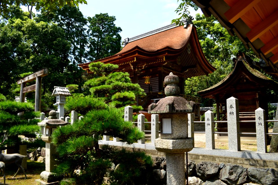Hyozu-taisha, honden
