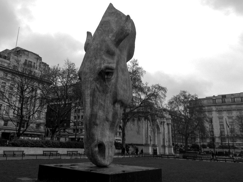 Hyde Park Horse BW