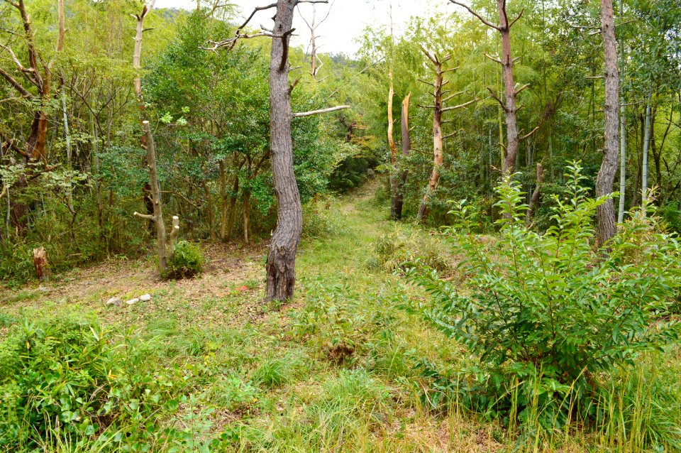 Hyotanyama-kofun (Azuchi) kouenbu