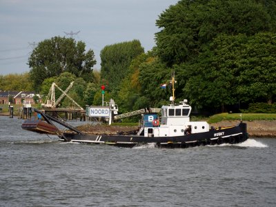 Husky - ENI 02320294 on the Nieuwe Maas river, pic4