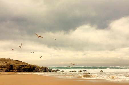 Beach sea coast