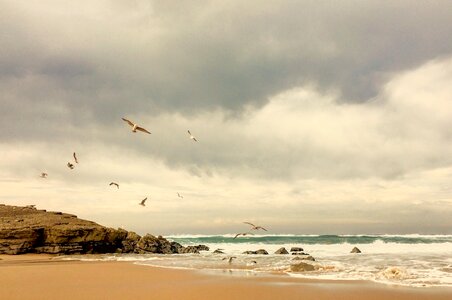 Beach sea coast photo